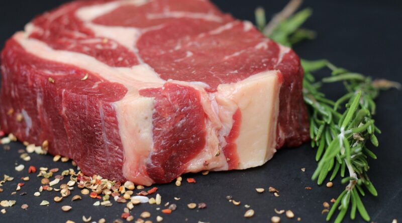 carne bovina marfrig origem animal
