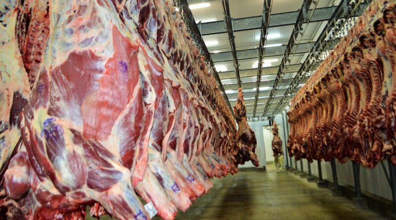 frigorífico, unidade frigorífica, planta, carne bovina, boi