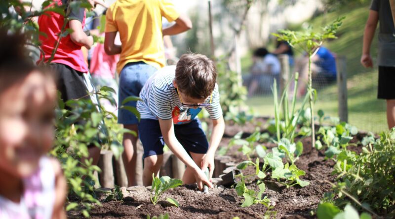 Agricultura urbana transforma paisagem cinza de São Paulo no aniversário de 470 Anos