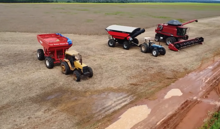 Programa Soja Brasil/Ep 32