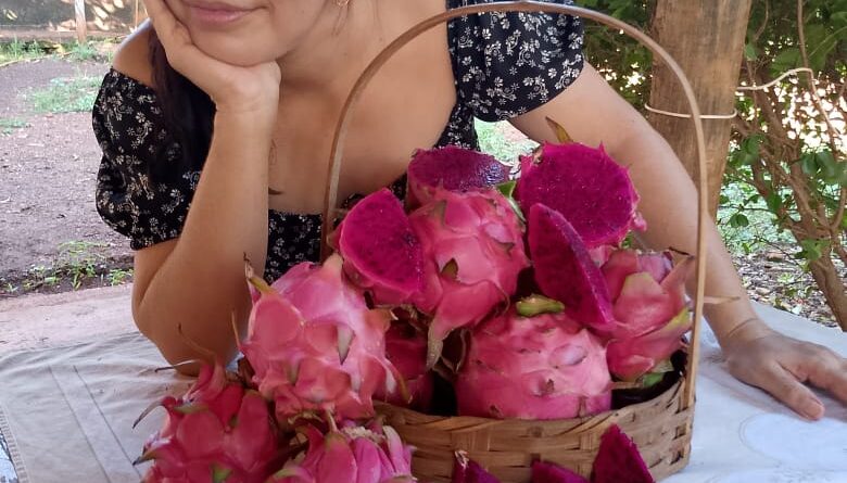 Vitória Christian deixou o serviço público federal durante a pandemia e passou a se dedicar ao cultivo da fruta (Fotos Arquivo Pessoal/Vitória Christian)