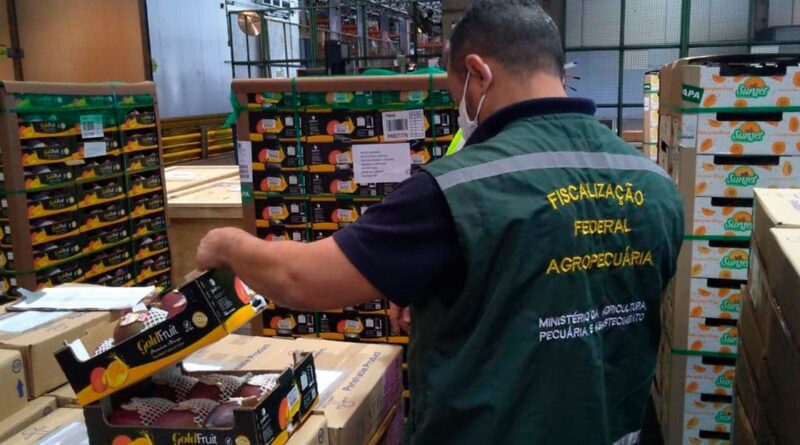 auditores fiscais federais agropecuários