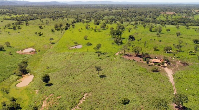 Selo Verde; plataforma que fornece diagnósticos sobre a conformidade ambiental das propriedades rurais