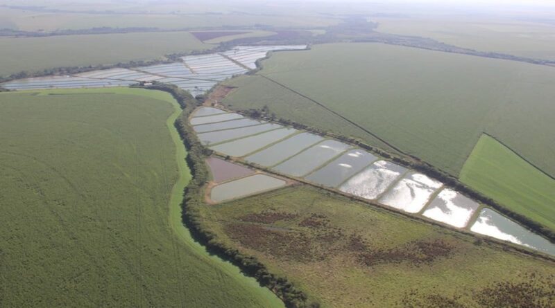 viveiro para aquicultura