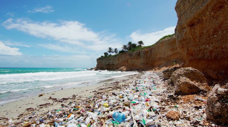 plásticos contaminam oceanos com microplásticos