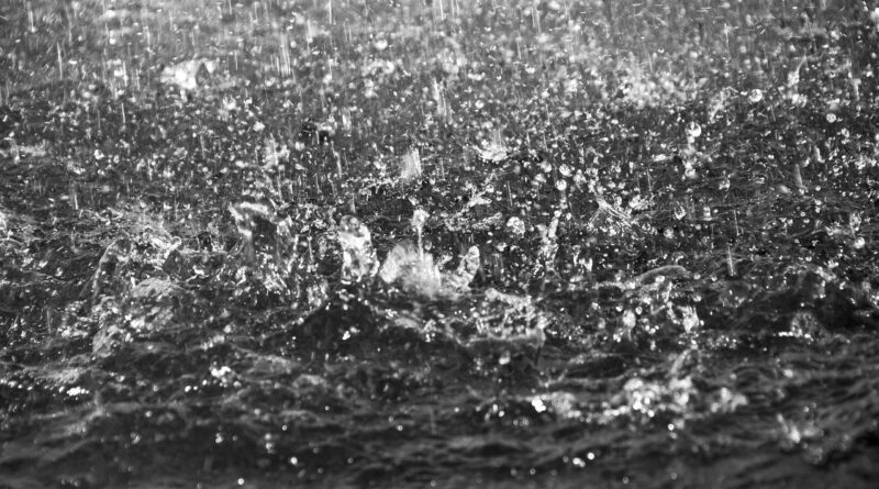 Imagem de Annabel_P por Pixabay