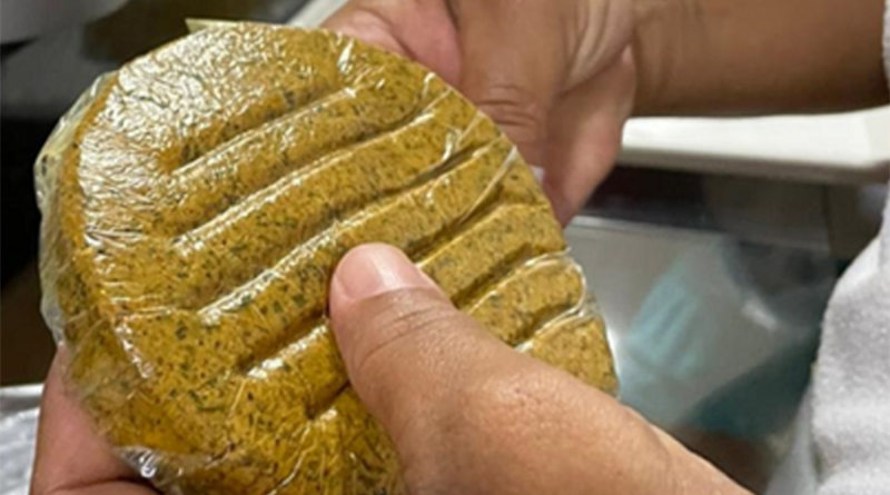 hambúrguer de babaçu