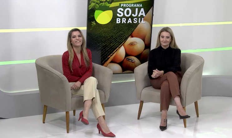 Foto: Programa Soja Brasil