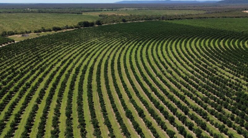 Foto: Divulgação/Adab