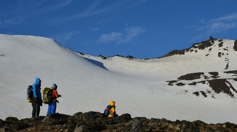 pesquisa na Antártica