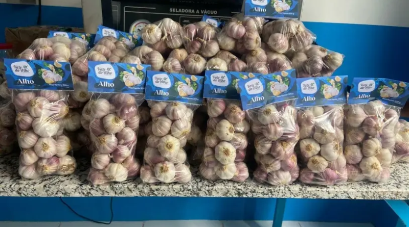 Pacotes de alho expostos em uma bancada
