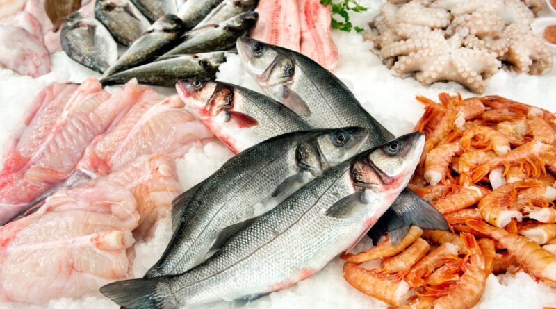 Consumo de peixes e mariscos na América Latina e no Caribe pode impulsionar segurança alimentar