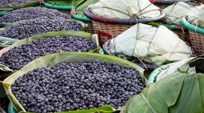 AÇAÍ DE FEIJÓ, AC