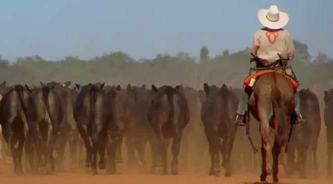 Fazenda Nova Piratininga localizada entre os estados de Goiás e Tocantins 