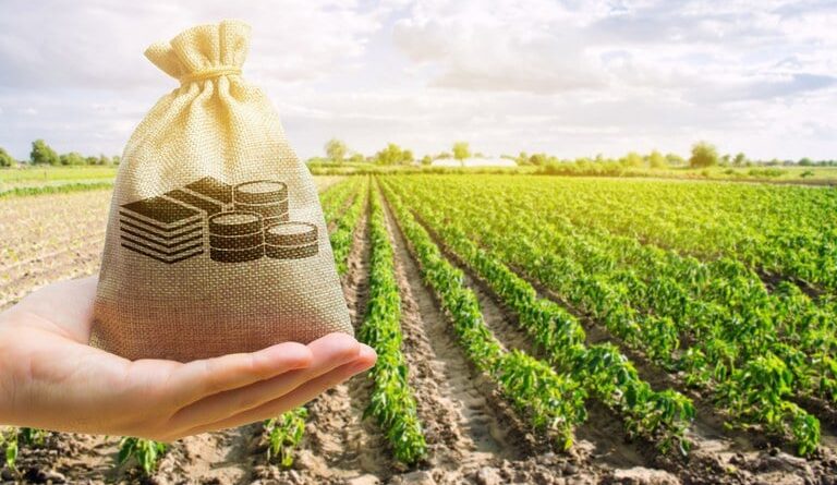 crédito rural, CNA, dívida, dívidas