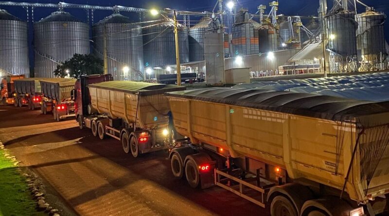 Cooperativa movimenta mais de 4 mil caminhões com grãos no Tocantins