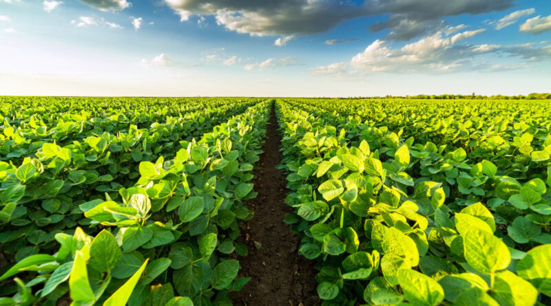 Corteva soluções biológicas