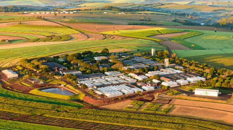 Embrapa Soja completa 50 anos nesta quarta-feira!