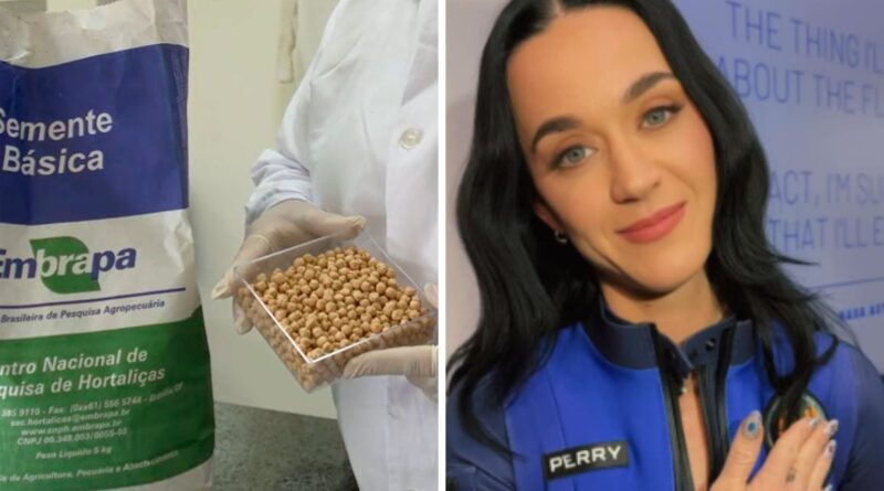 Embrapa leva grão-de-bico e batata-doce ao espaço em missão com cantora Katy Perry