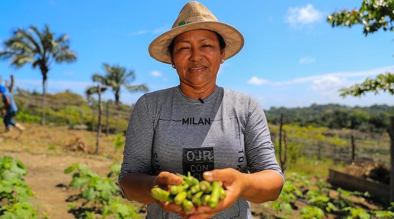 Governo do Amazonas; produtores