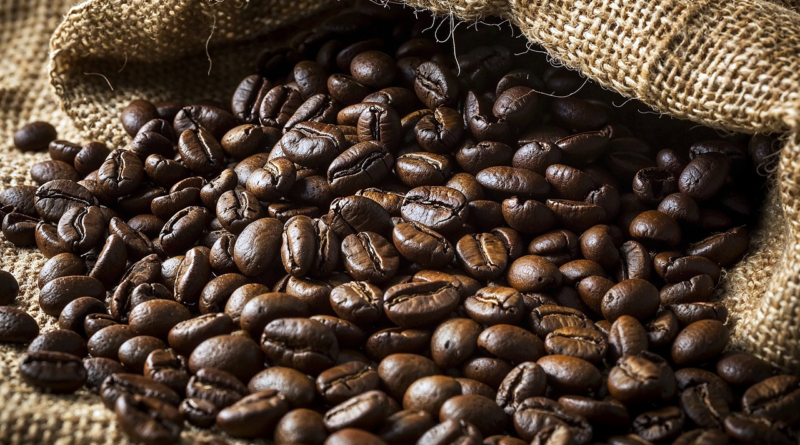 Falta de estrutura nos portos atrasa o embarque de 600 mil sacas de café