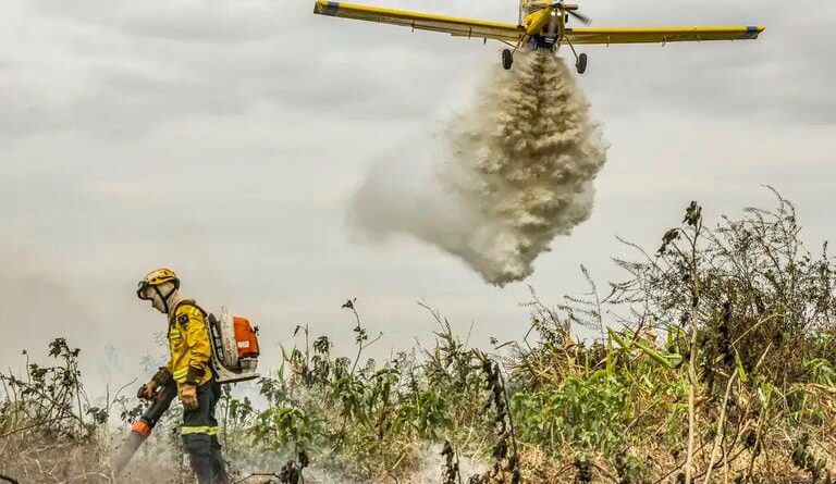 aviões incêndios florestais