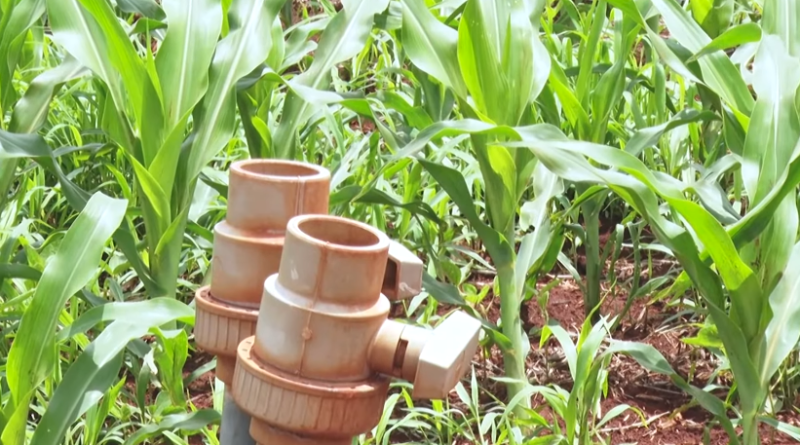 Foto: Programa Soja Brasil Ep. 34