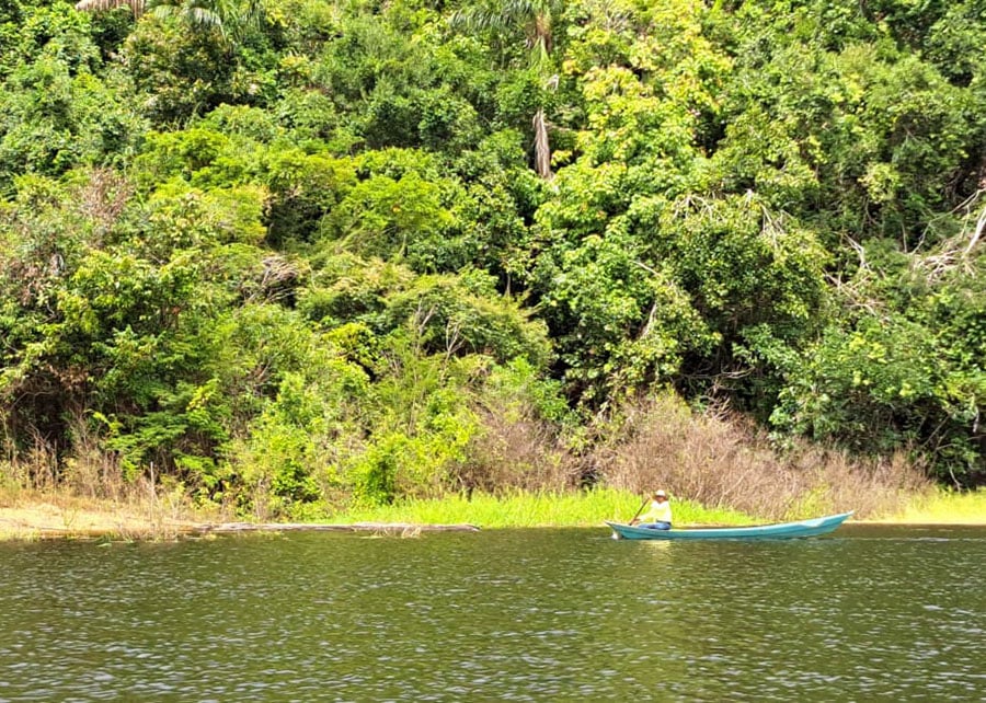Solo do Rio Nego, no Amazonas, é alvo de pesquisa da Embrapa 
