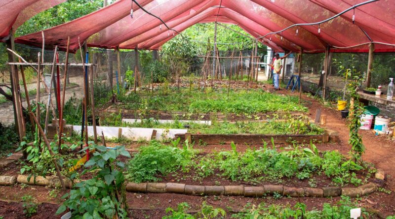 HORTA DAS FLORES, SÃO PAULO
