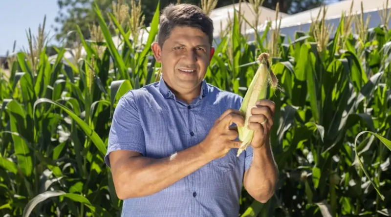 Foto: Divulgação - ASN/TO