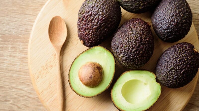 Avocado produzido no estado de São Paulo