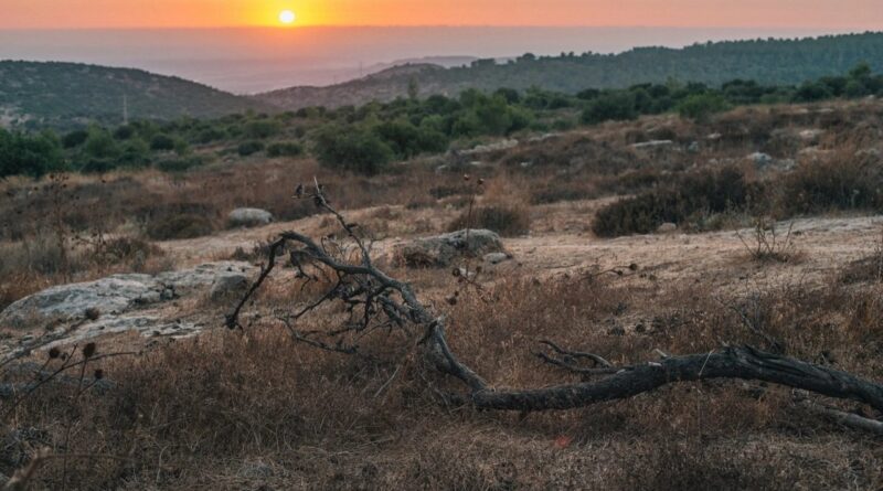 Bahia vai apresentar a Lula, plano emergencial para seca prolongada