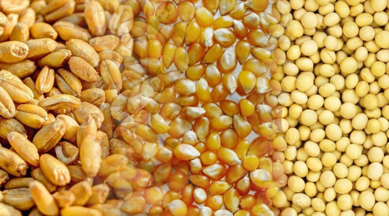usda-soja-milho-e-trigo