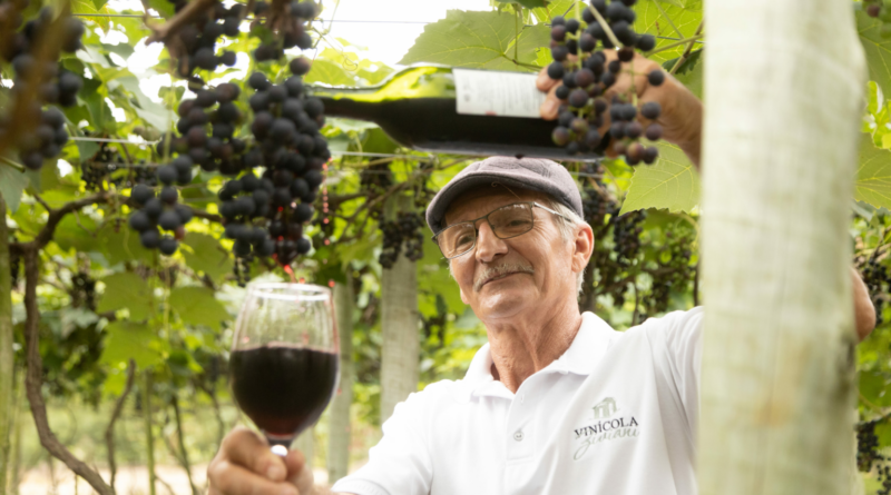 Turismo de experiência atrai visitantes para vivências no campo capixaba