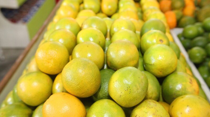 Pesquisas e ações são armas no combate ao greening no principal cinturão citrícola do país