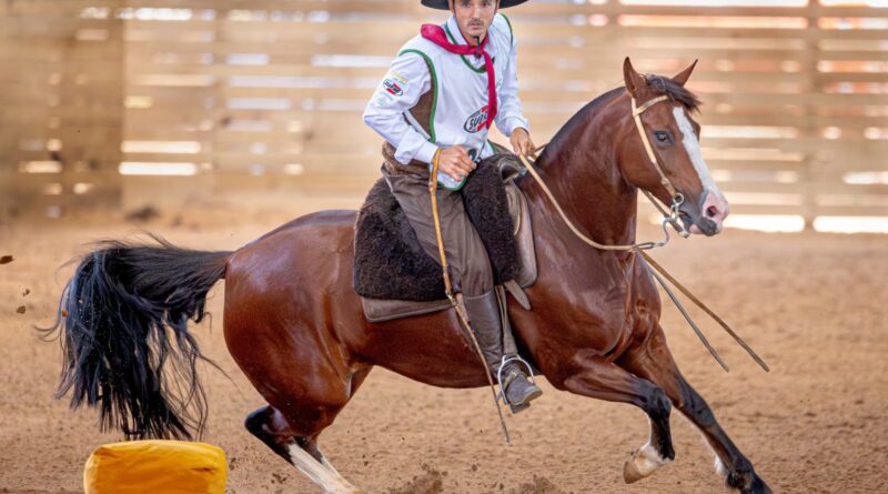 Animais estreantes no Freio de Ouro se classificam para a final em Esteio