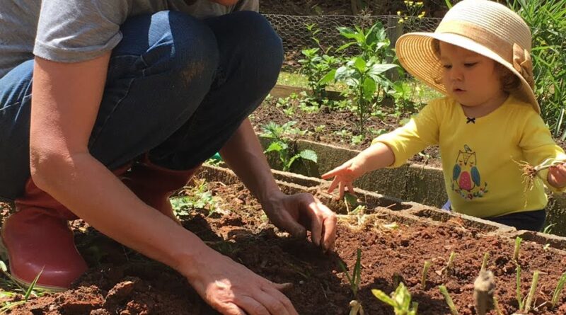 A mulher está no campo e na luta diária para construir um futuro melhor