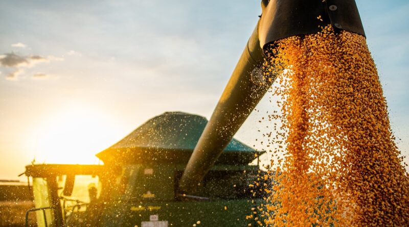 Bahia bate recorde de produtividade de soja e atinge média de 68 sc/ha na safra 2024/25
