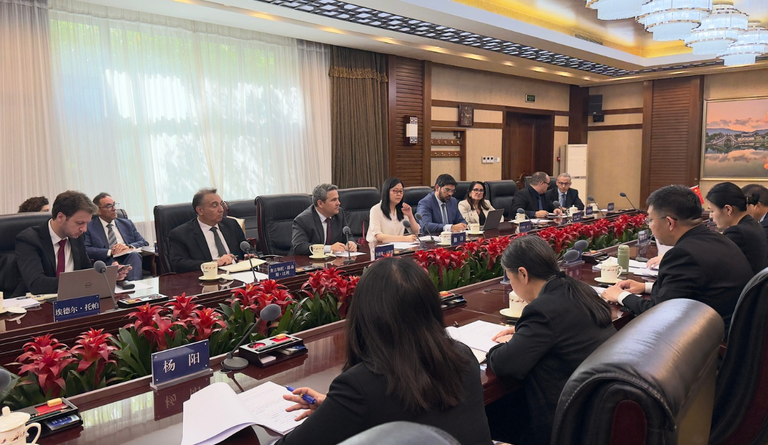 Reunião entre representantes do Brasil e da China