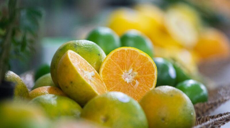 laranja, Citricultura responde por 7,48% dos empregos gerados no Brasil em 2019