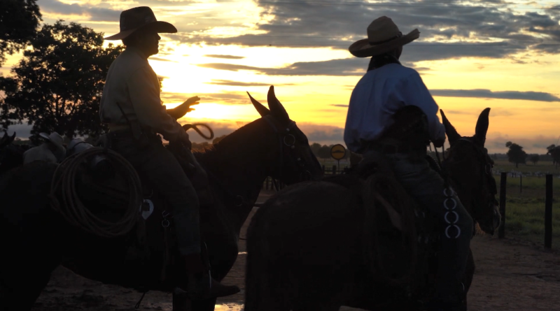 Com cascos na terra, 1ª Cavalgada do Zé Mineiro resgata a alma tropeira do Brasil