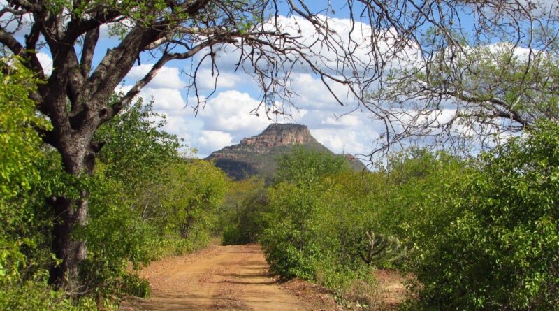 Estudo resgata lembranças do sertão por quem viveu seca e fartura