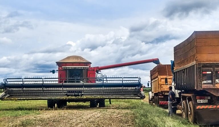 colheita, soja, sojicultor máquinas agrícolas