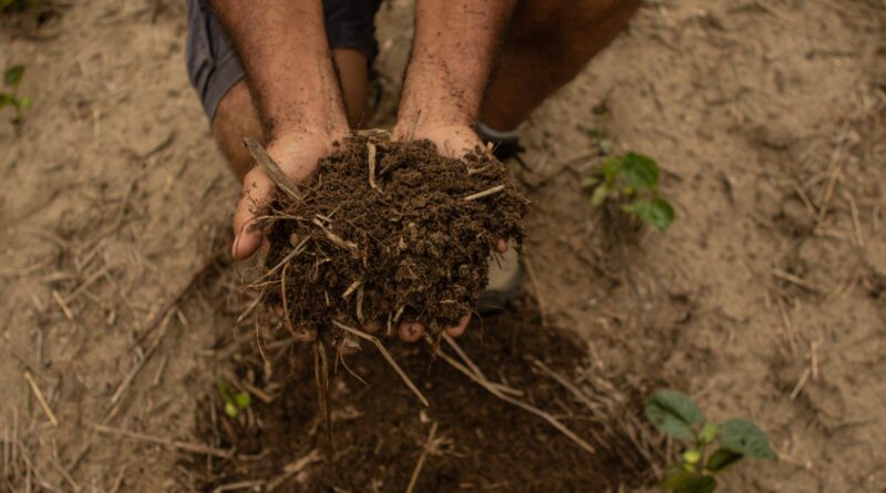 Conheça o primeiro laboratório agrícola de saúde de solo do Brasil