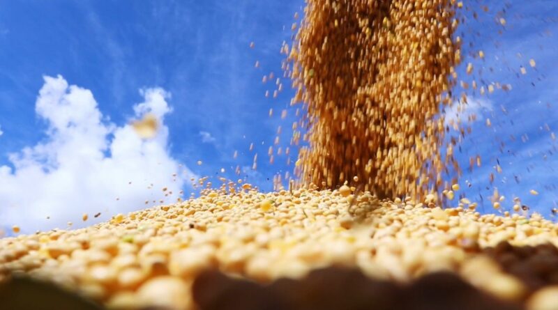 Saiba como ficou o mercado de soja após os números do USDA