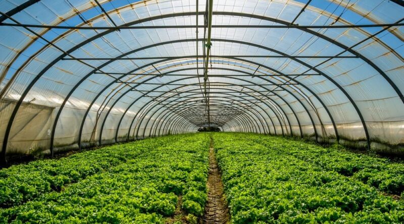 plasticultura-agronegócio