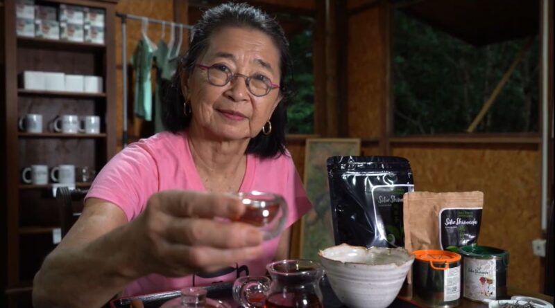 Formalização leva chá artesanal do Vale do Ribeira ao mercado global