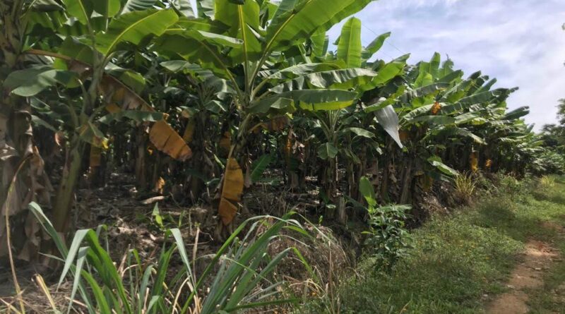 Foto: arquivo pessoal