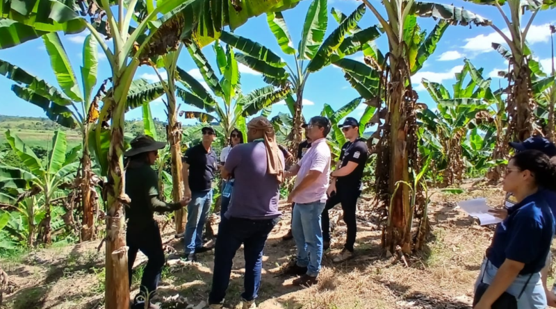 Capacitação de profissionais em Alagoas