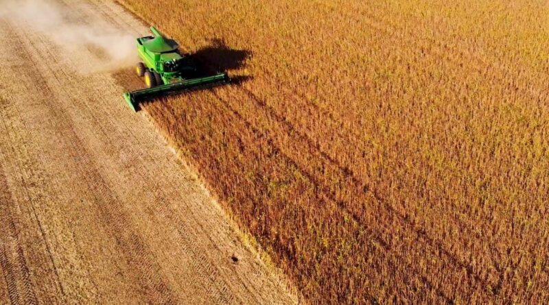 Colheita de soja 2024/25 está praticamente concluída no Brasil, segundo a Conab